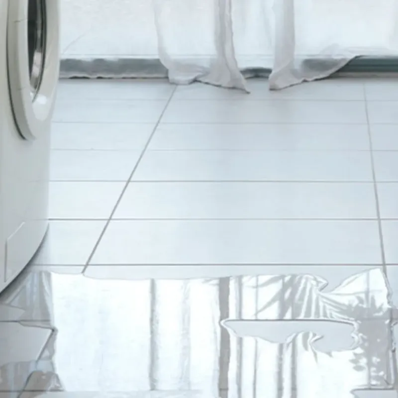 Appliance Leak Cleanup in Milwaukee, WI