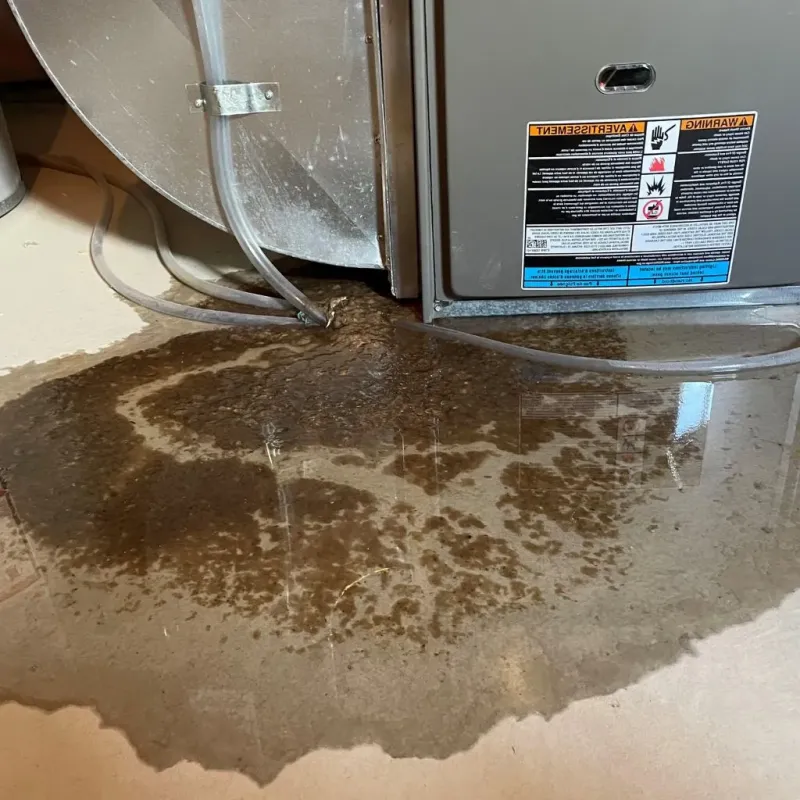 Pipe Burst and Leak Restoration in Milwaukee, WI